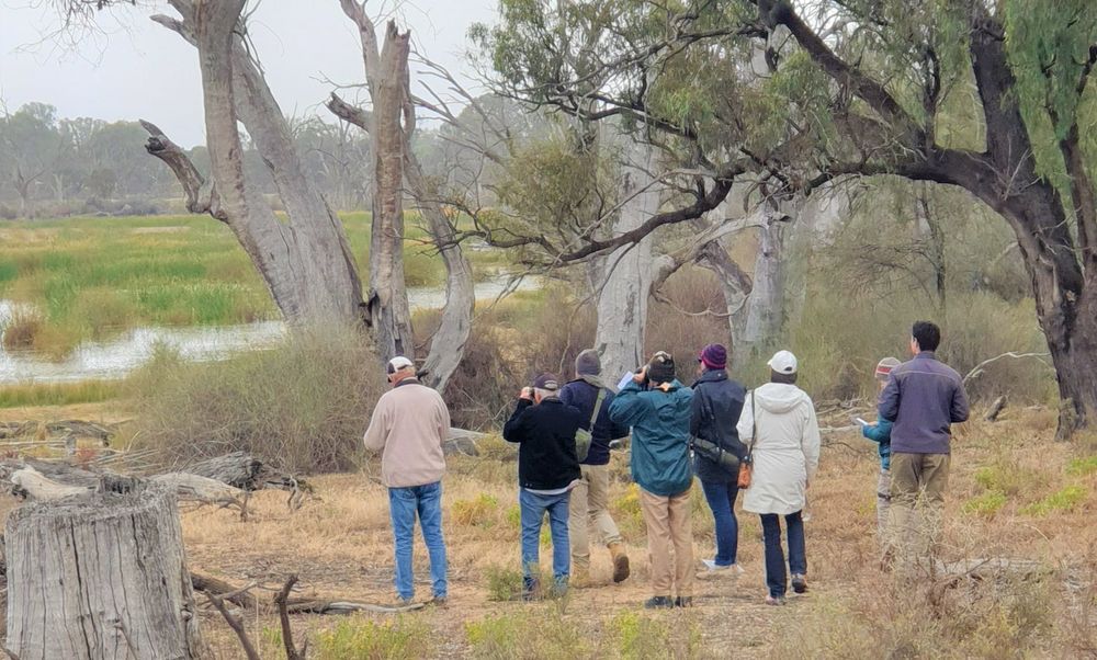 Grab some grassroots enviro funds post image