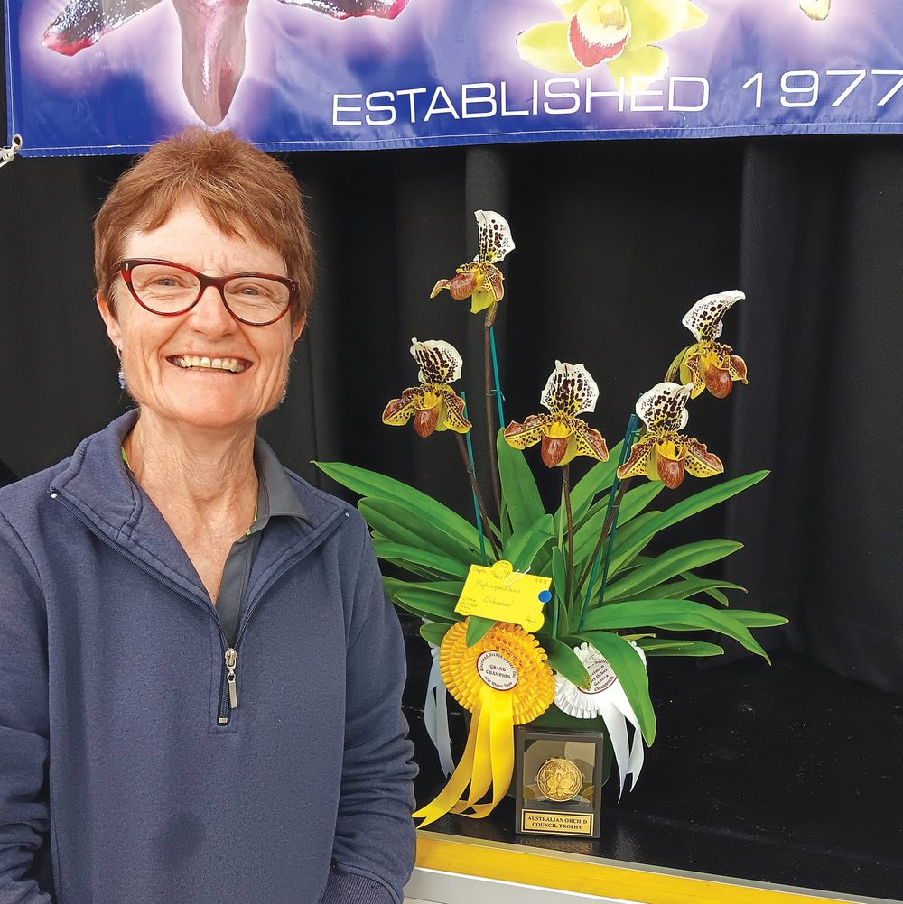 Riverland Orchid Society Winter Show results post image