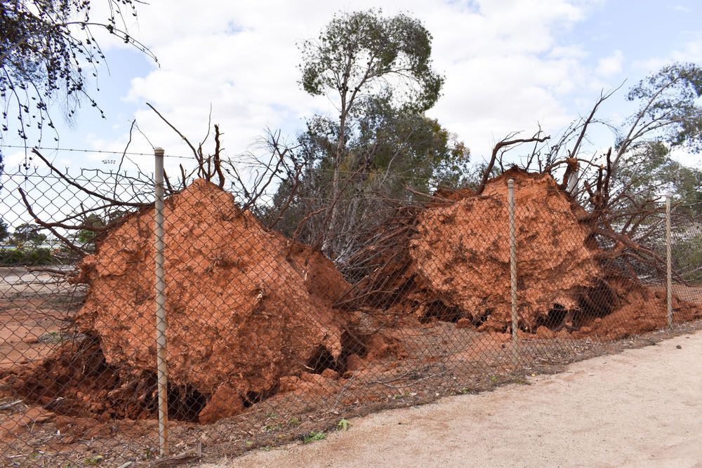 Loxton pool smooth as glass – literally post image