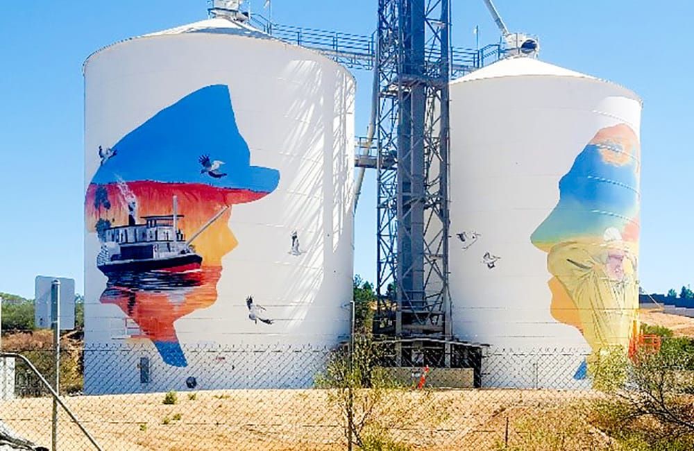 Lions get behind Paringa silo art post image