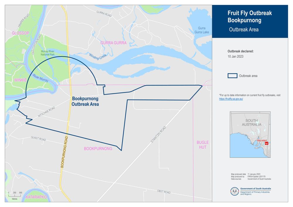 Fruit fly outbreak toll hits 20 post image