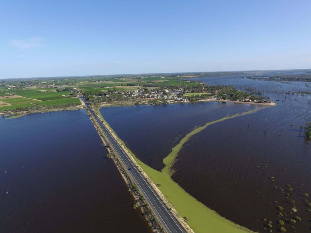 BREAKING: Up to 4000 Riverland properties expected to go under post image