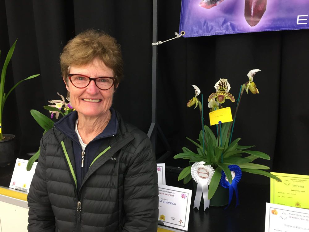 Winter Show bodes well for Spectacular post image