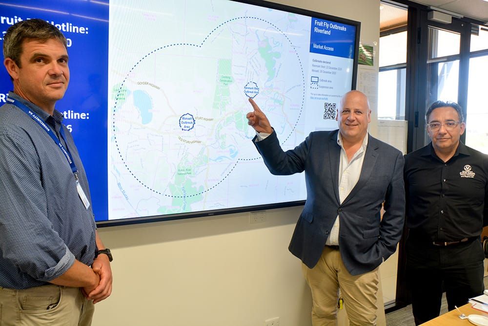 Government’s message to locals about recent fruit-fly outbreaks... ‘We’re throwing everything at it’ post image