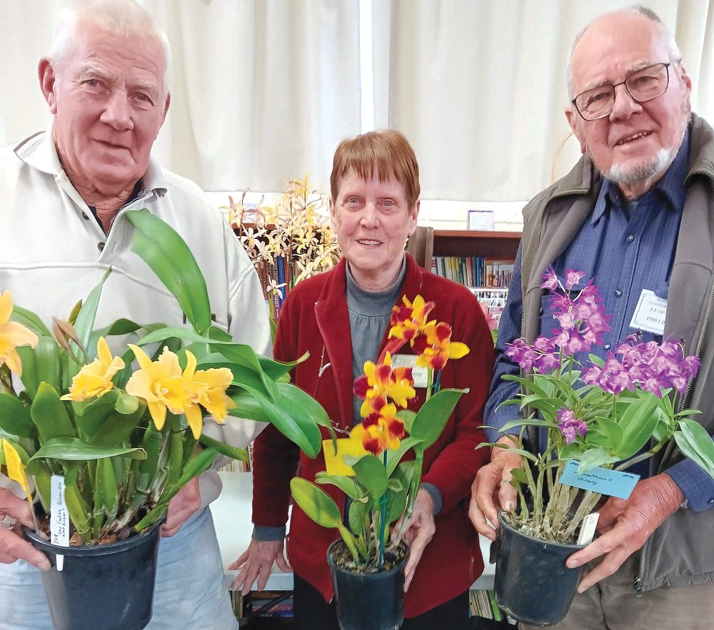 Region’s annual Orchid Spectacular this weekend post image