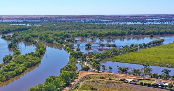 $1.2m flood beds scheme defended post image