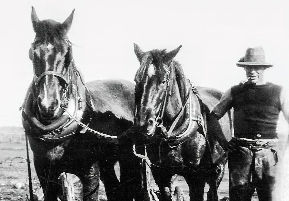 Monash’s WWI soldier settlers remembered post image