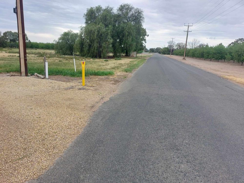 Council to develop new cat by-law, but avoiding compulsory registration… The fine (fe)line post image