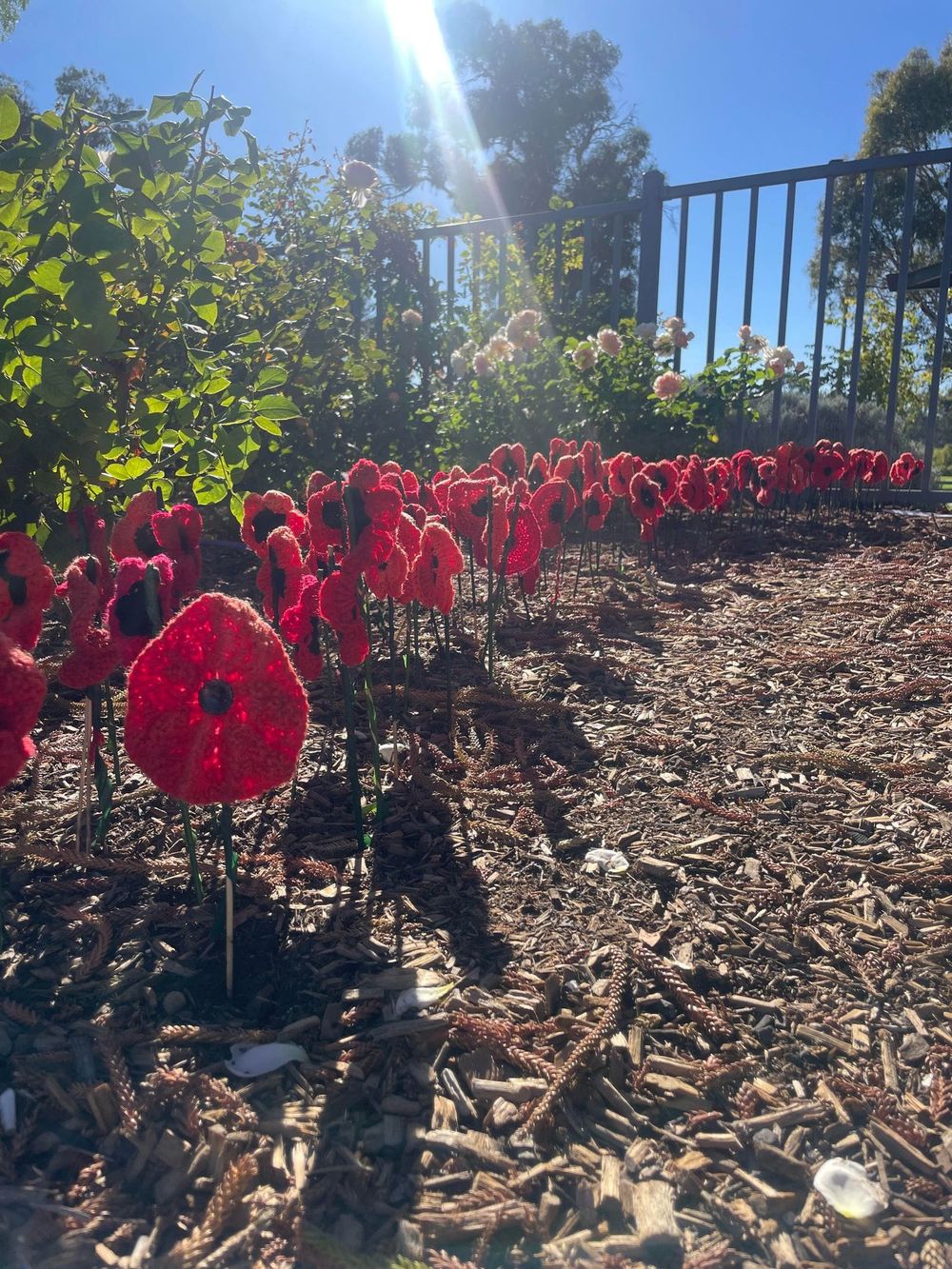 Importance of the Australian Women’s Land Army post image