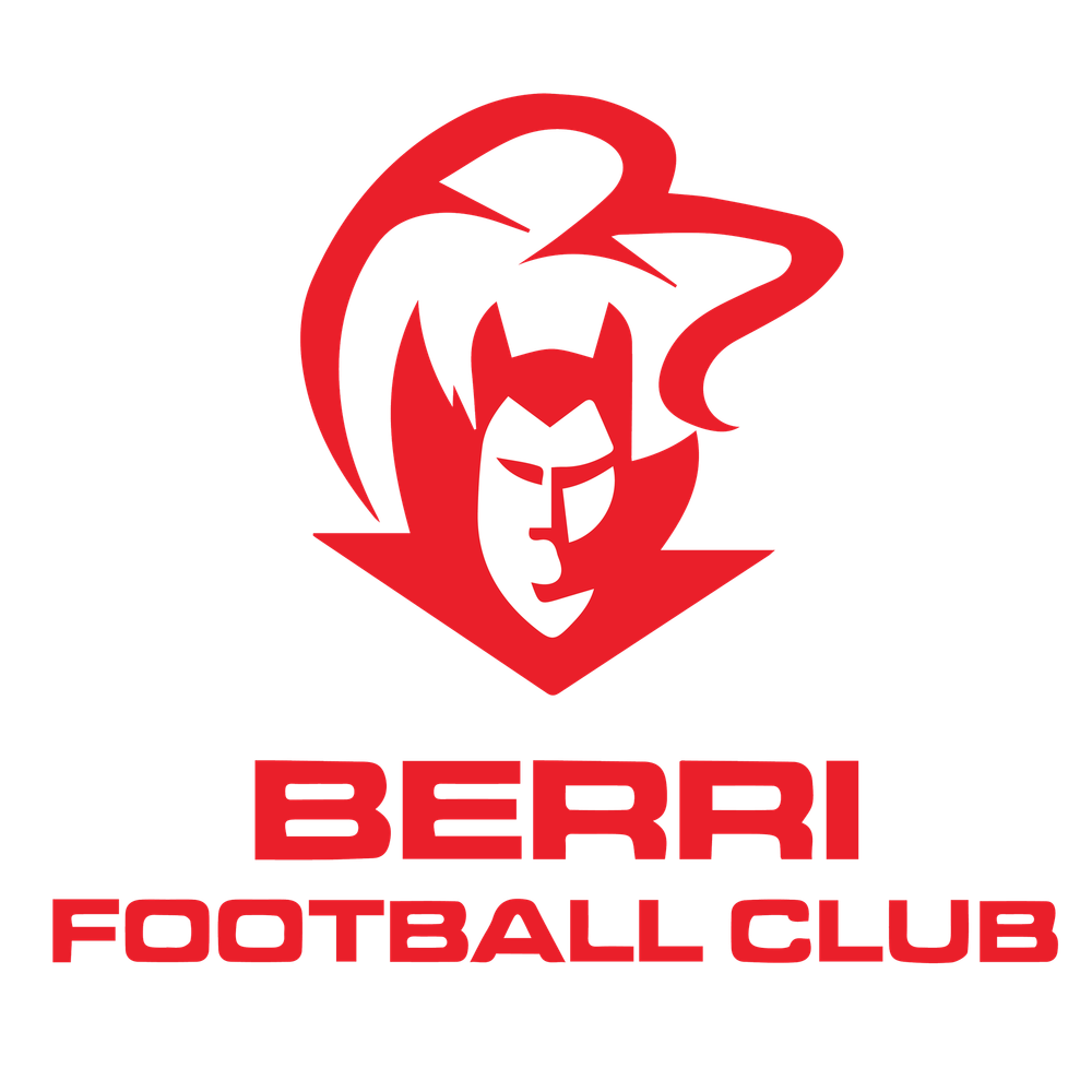 Demons search for new senior coach post image