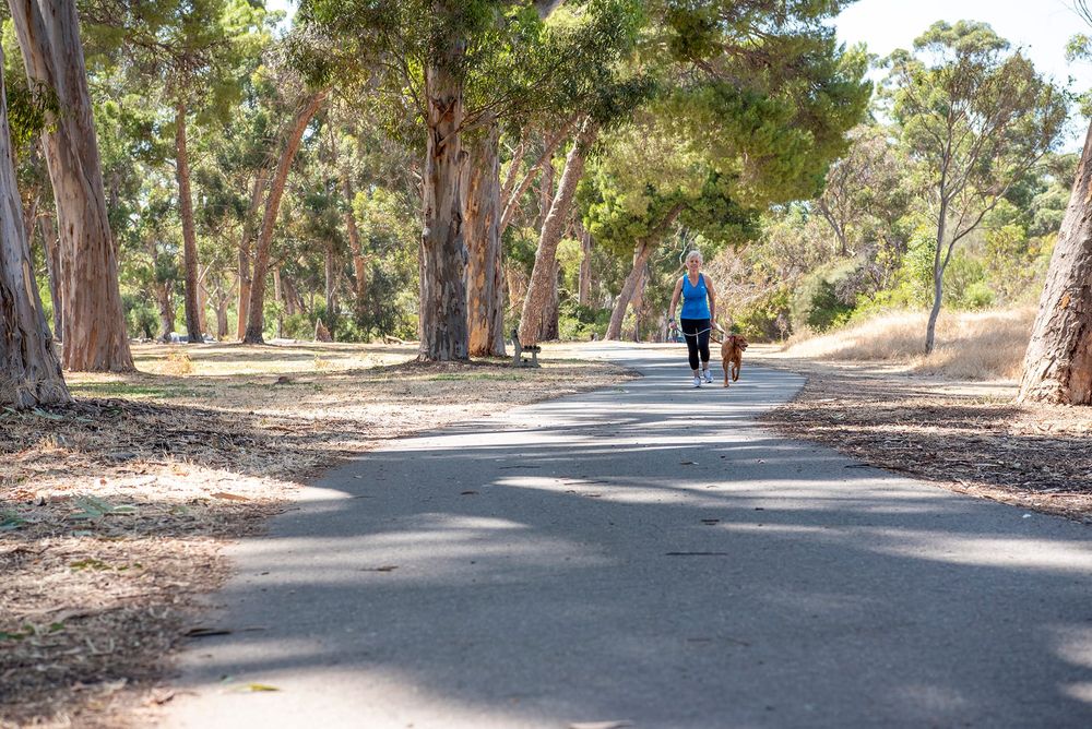 Benefits of some council knowledge post image