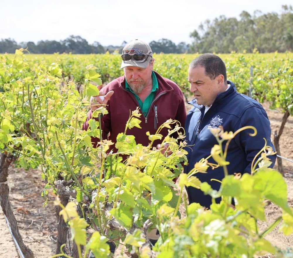 Cash coming for hail-hurt growers post image