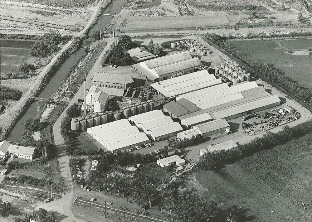 Bookmark Creek and the start of Irrigation in Renmark post image
