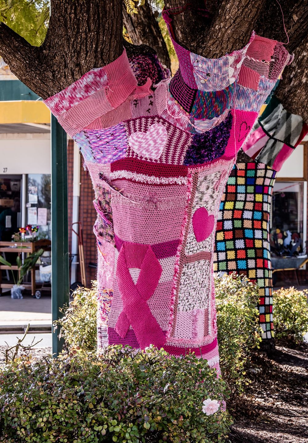 Barmera's Yarn Bomb post image