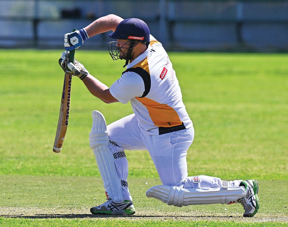 Tigers tame Berri to begin season in style post image