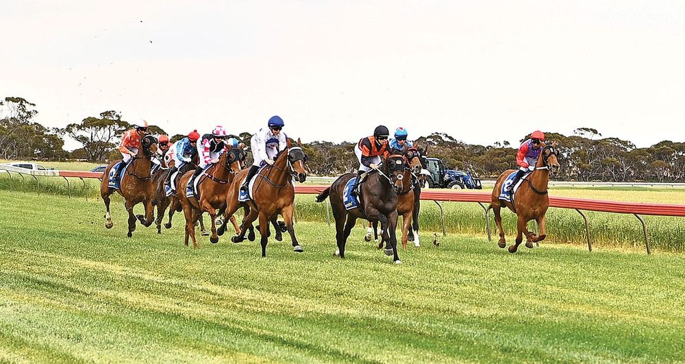 Fantastic plastic for racing club post image