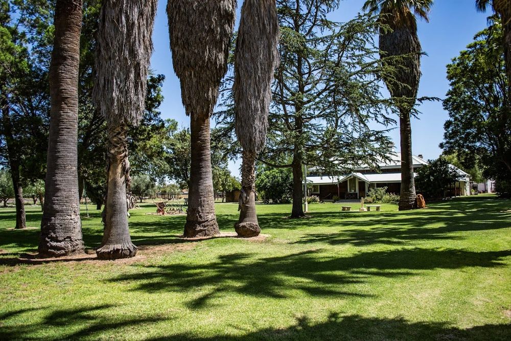 Olivewood Historic Homestead and Museum post image