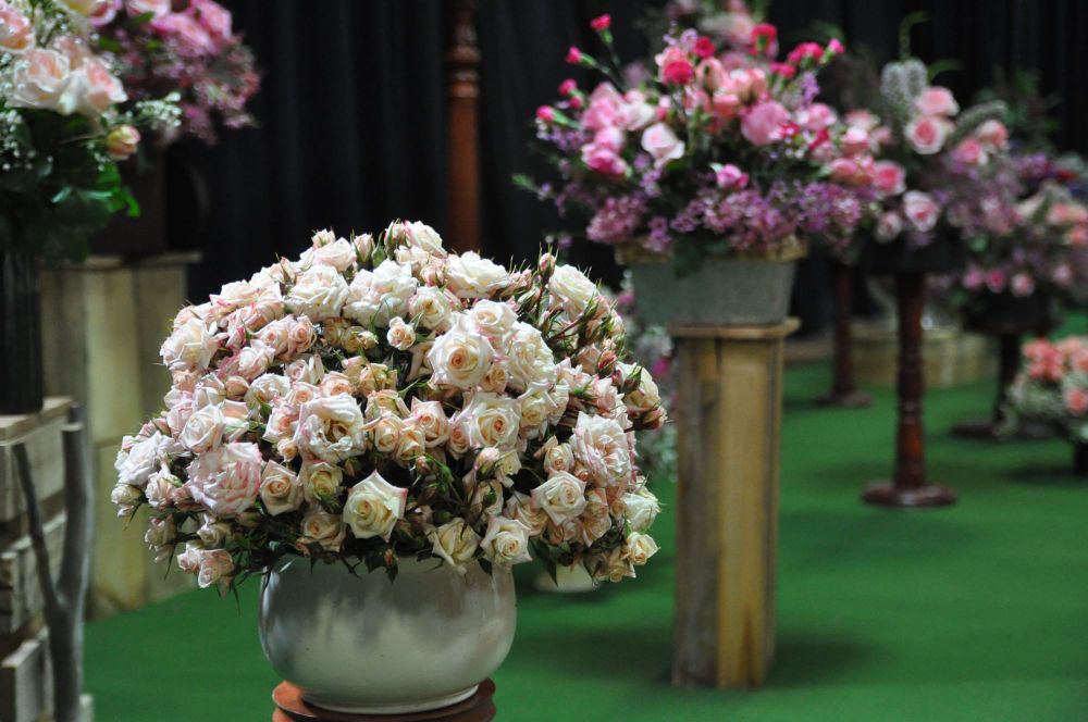 Riverland Rose & Garden Festival - Institute Floral Display post image