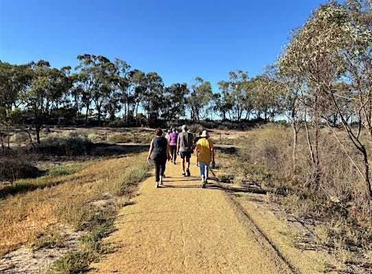 Waikerie Wetlands Parkrun - weekly post image