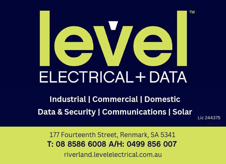 Level Electrical & Data post image
