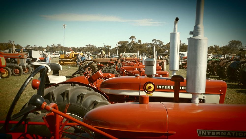 Mini Hit ‘N’ Miss Rally post image