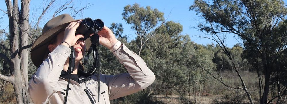 Science Week - Birdwatching Wetland Wonders post image