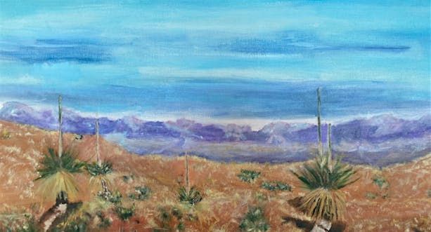 Shades of Life - Four Riverland Artist's exhibition post image