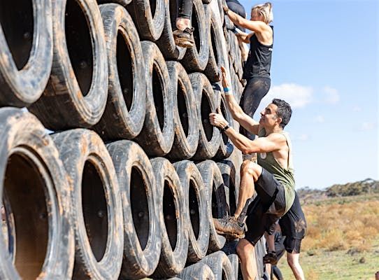 True Grit SA - Caudo Vineyard post image