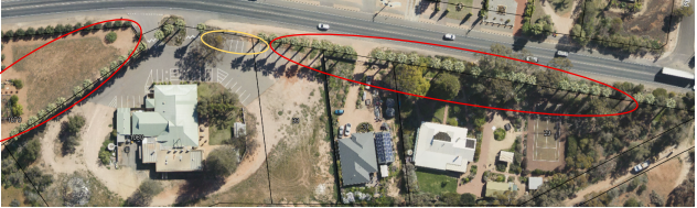 Berri Barmera protects its palms post image