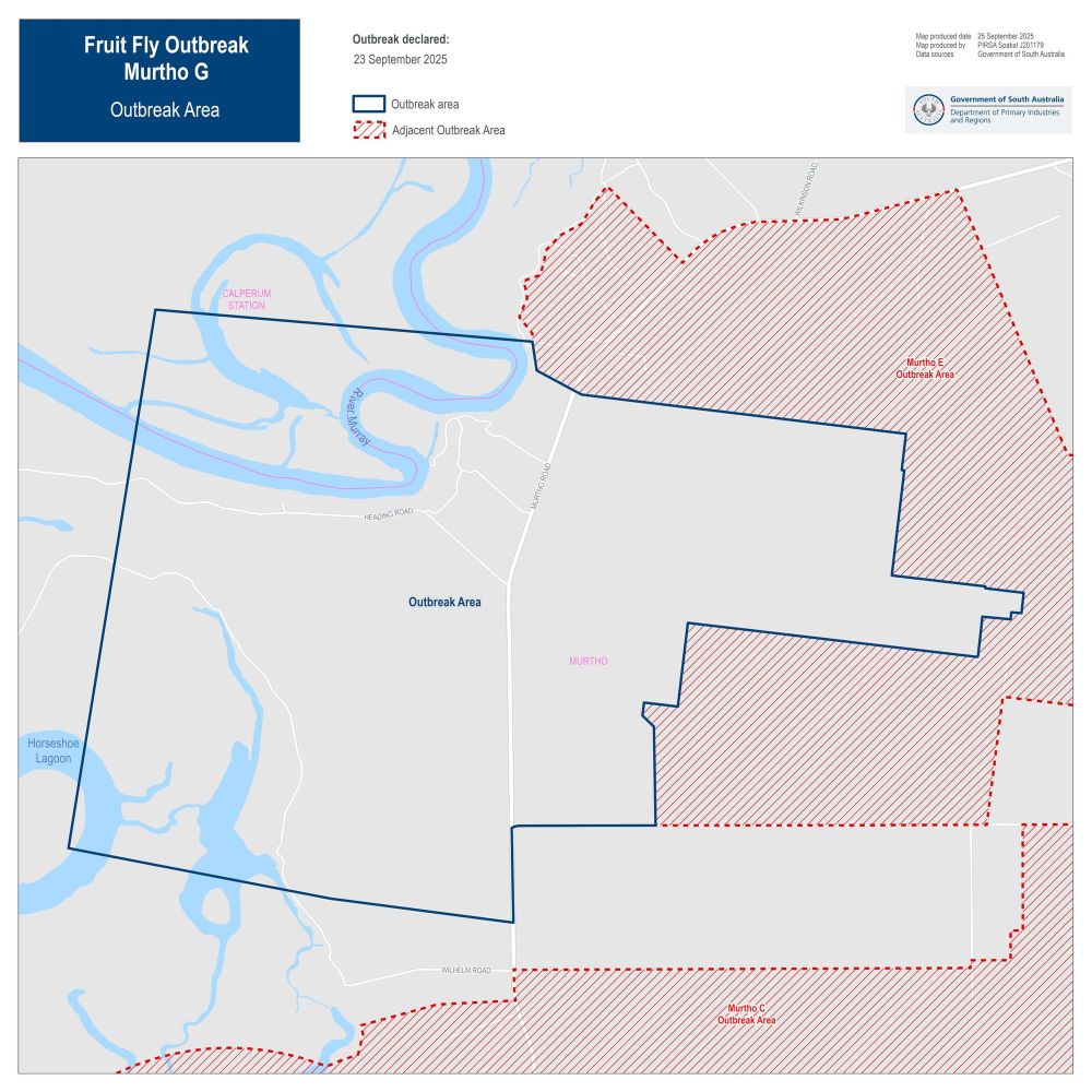 Holiday visitors urged to protect Riverland from fruit fly threat post image
