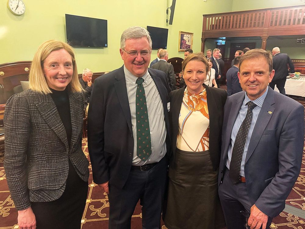 Grain ‘recovery’ call premature post image