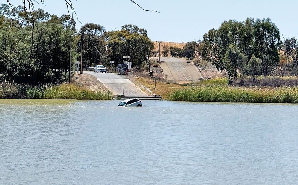 Locals rescue Donald post image