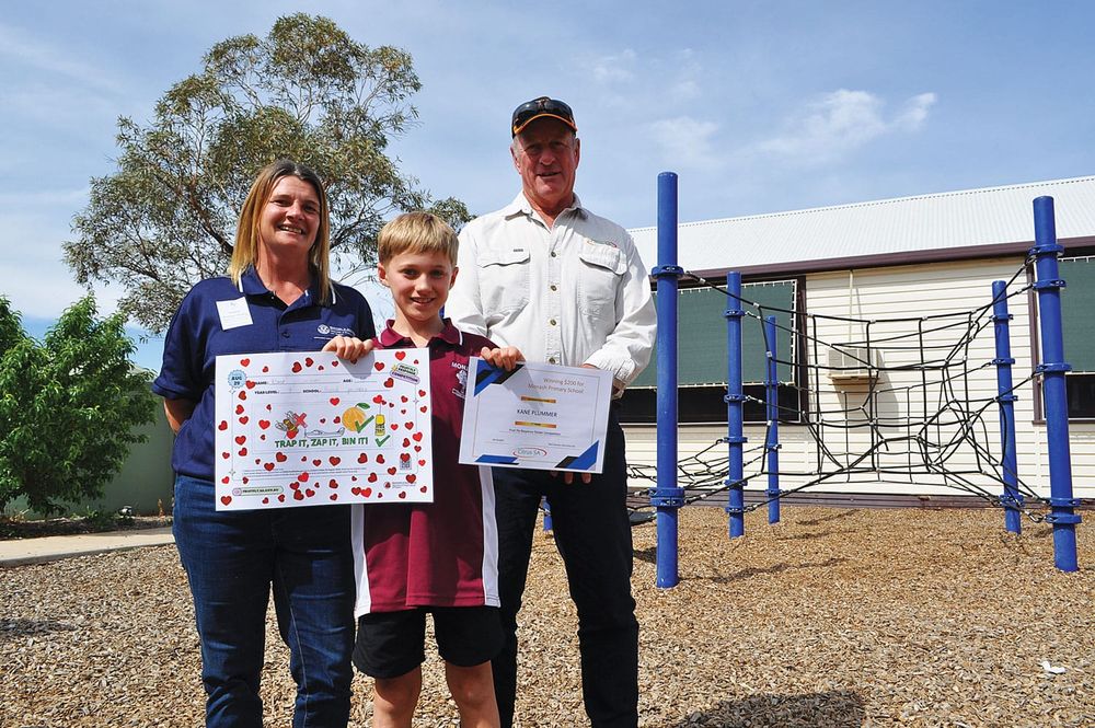 Local students create a buzz around fruit fly post image