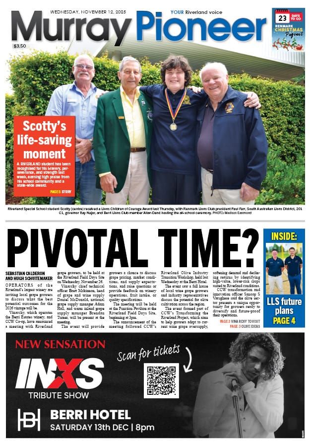 November 12, 2025 post image