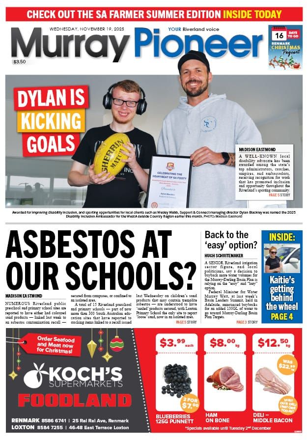 November 19, 2025 post image