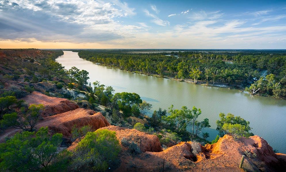 Water matters: What is next for the Basin Plan? post image