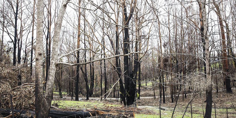 Warning for locals as bushfire home readiness falls short post image