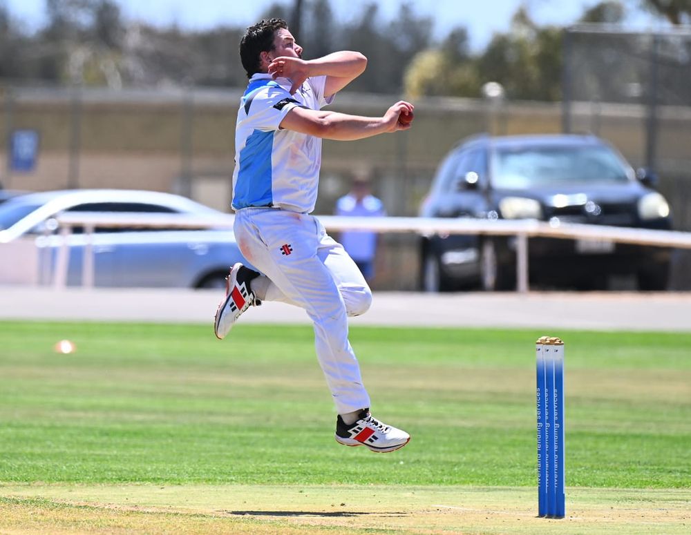 Bluetongues knock off ladder leaders post image