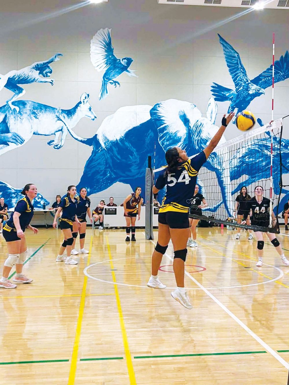 Renmark students’ smash hit post image