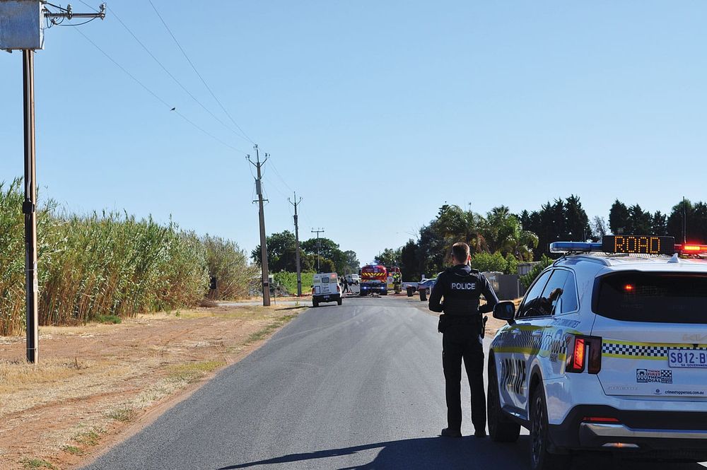 Bamboo fence fire in Renmark post image