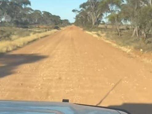 No up-grade for Dog of a road post image