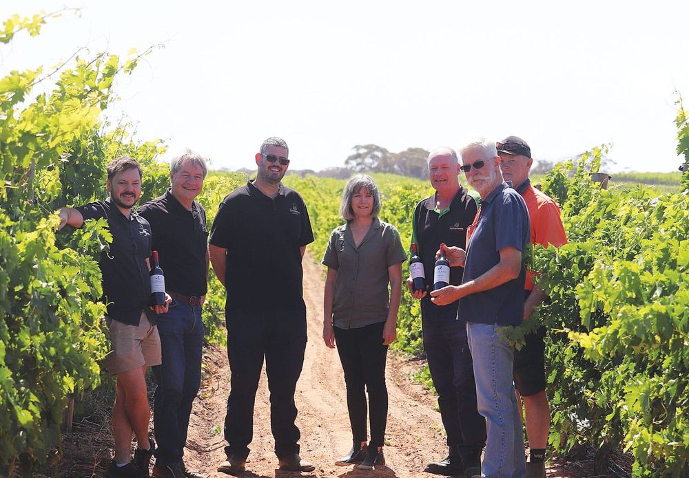 A Riverland champion returns post image