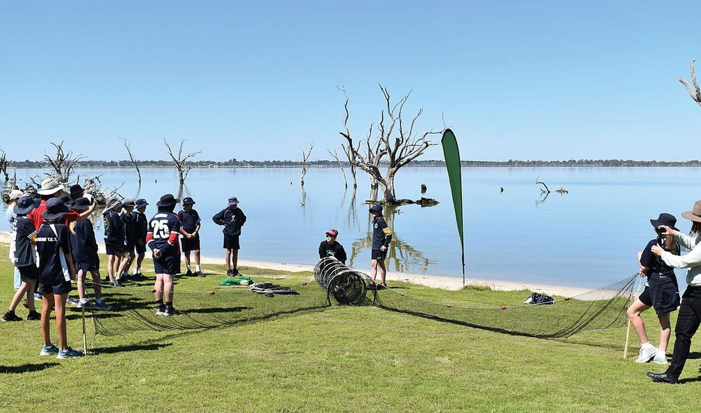Students learn about turtle conservation post image
