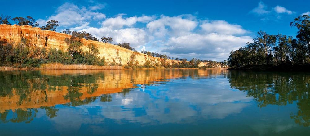 Riverland leaders question impact of Lower Murray endangered listing post image