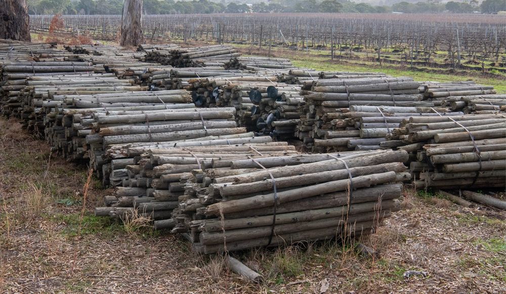 Vineyard post removal funding ‘not enough’ post image