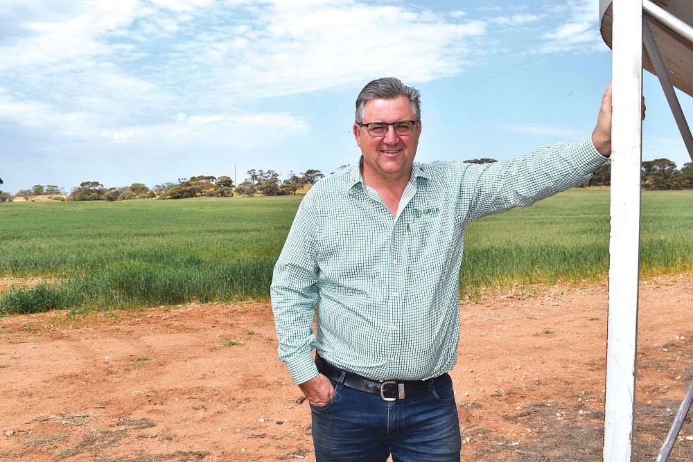 Gladigau: Drought loans a lifeline for farming post image