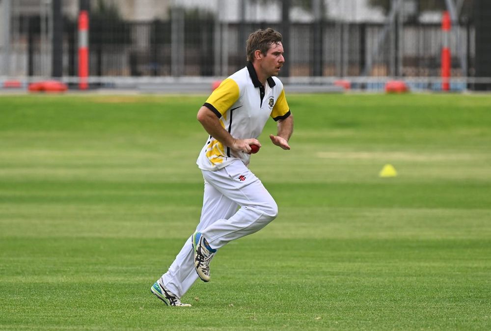 Tigers roar through to home decider post image