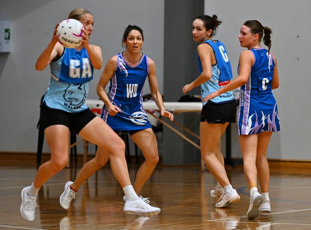 Cats planning on coming back for more post image