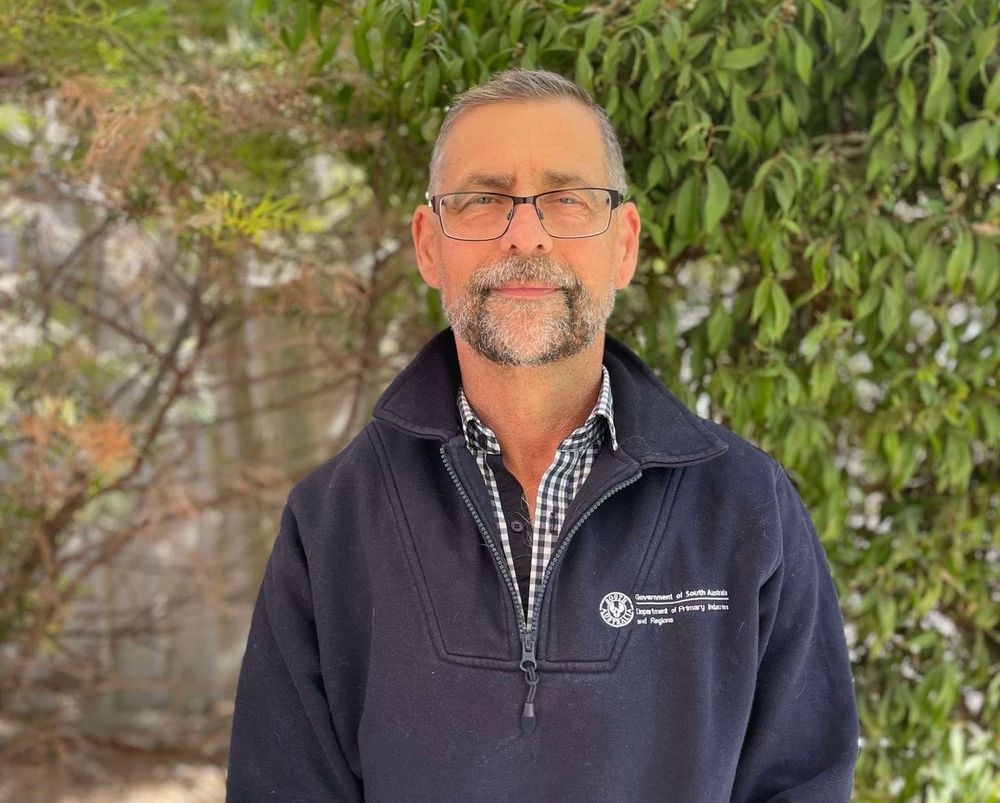 Don’t pack fruit fly this Easter post image