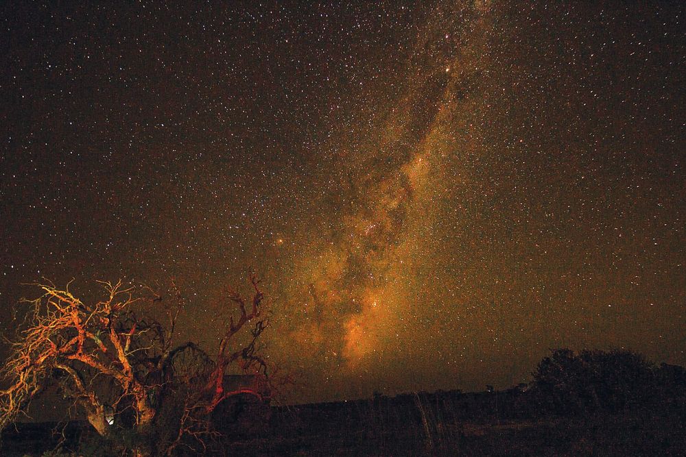 Dark sky celebration lighting up Swan Reach this weekend post image